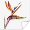 MuchoWow® Poster Strelitzia - Aquarell - Blumen 50x50 cm - Produktbild-Vorschau 1
