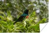 MuchoWow® Poster Vogel zwischen den Blättern im Dschungel Produktbild-Vorschau 1