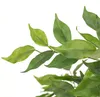 hjh OFFICE Umelá rastlina FICUS I Umelá rastlina breza Náhľad obrázku produktu 2