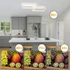 A modern kitchen with a ceiling light and fruit displays. Anteprima dell’immagine prodotto