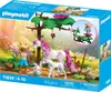 PLAYMOBIL Fairies 71839, Akčný / Dobrodružný, 4 rok / roky, Náhľad obrázku produktu 13
