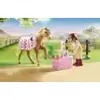 Ensemble de poneys allemands Voir les images du produit 5