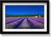 Lavendelfeld in der Provence– Wandbild mit Rahmen – Produktbild-Vorschau 1