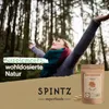 Reishi Pilz Kapseln 250  Stk. Produktbild-Vorschau 5