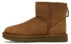Boty Ugg 10091-472949 pro Dámské Náhled obrázku produktu 28