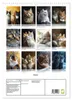 Katzen (Wandkalender 2027 DIN A3 hoch), CALVENDO Produktbild-Vorschau 2