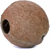 Terrario CocoLair - tutto il cocco naturale Terrario Anteprima dell’immagine prodotto 4