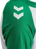 Hummel hmlMatch League Jersey Kids Produktbild-Vorschau 8