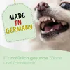 dentaVet Polvere anti-placca 50 g per cani e gatti – Igiene Anteprima dell’immagine prodotto 4