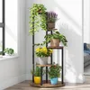A multi-tiered plant stand filled with various potted plants is placed in a corner of a room near a window. Podgląd zdjęcia produktu