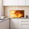 Coloray Küchenrückwand 140x70 Spritzschutz aus Glas - Tier Produktbild-Vorschau 3