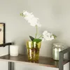 Skleněný obal na orchidej D 15,5 cm H 18 cm žlutá pavučina Náhled obrázku produktu 6