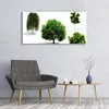 Glasbilder 120x60 Wandbild Druck auf Glas Bäume Natur Produktbild-Vorschau 3
