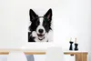 MuchoWow® Poster Border Collie schaut in die Kamera 60x80 Produktbild-Vorschau 5