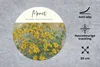 MuchoWow® Mauspad Mousepad Gemälde - Topinamburblüten - Produktbild-Vorschau 2