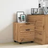 A wooden filing cabinet with two drawers on wheels, next to a larger wooden cabinet. Two framed pictures are on top of the filing cabinet. Podgląd zdjęcia produktu