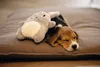 Beeztees Puppy Snoet - Hund Spielzeug - grau - 25x20x7,5 cm Produktbild-Vorschau 6