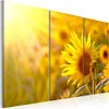 Modernes Wandbild 030210- 23 (120x80) - 3 Teilig Bilder Produktbild-Vorschau 1