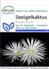 Artikelbild 1 von 'Seeigelkaktus' aus der Kategorie Kaktussamen Náhled obrázku produktu