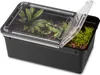 Terrario Reptiland Black 19x12x7,5cm - černé terárium Náhled obrázku produktu 1