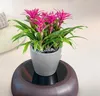 LECHUZA-Vase à plantes CLASSICO Premium LS 21 Anthracite Voir les images du produit 11