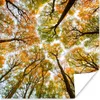 MuchoWow® Poster Herbst - Himmel - Baum 75x75 cm - Wand Produktbild-Vorschau 1