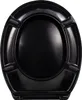aquaSu® Basic, WC-Sitz in Schwarz, Duroplast Produktbild-Vorschau 12