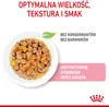 Royal Canin FHN Kitten Instinctive mokra karma dla kociąt w Podgląd zdjęcia produktu 4