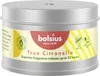 Bolsius Citronella Kerze Dose echt | 4 Stück Produktbild-Vorschau 1