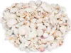 Muschelmix weiß 1 kg 1–6 cm Deko Muscheln Schneckenhäuser Produktbild-Vorschau 1