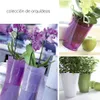 A collage of images featuring orchids in decorative pots, along with a single green apple. Podgląd zdjęcia produktu