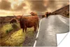 MuchoWow® Poster Schottische Hochlandrinds - Himmel - Produktbild-Vorschau 1