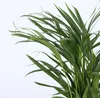 Zimmerpalmen-Mix - 2 Stk - Chamaedorea, Dypsis - Höhe Produktbild-Vorschau 3