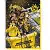 Borussia Dortmund BVB Weihnachtskalender Adventskalender Produktbild-Vorschau 7