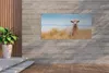 MuchoWow® Produktbild-Vorschau 2