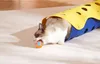 Rojeco Interactive Cat Ball (orange) Náhľad obrázku produktu 12