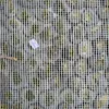 Exklusive Kieselstein-Mosaikfliese Schwarz – 1 Mosaikfliese Produktbild-Vorschau 4