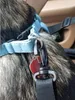 PURLOV 20973 Autositz für Hund 40 x 30 x 40 cm schwarz Produktbild-Vorschau 14