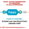 Royal Canin Labrador Retriever Junior - 3 kg Produktbild-Vorschau 7