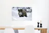 MuchoWow® Poster Wildschwein - Schnee - Tier 90x60 cm - Produktbild-Vorschau 5