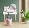A white vanity table with a lighted mirror, makeup, and a small dog sitting on a pink pouf in a room with green walls and wooden accents. Produktbild-Vorschau