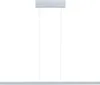Paulmann LED Pendelleuchte Lesko mit RGBW und Tunable White Produktbild-Vorschau 2