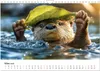 Wilde Heimat - Fischotter (Wandkalender 2026 DIN A4 quer), Produktbild-Vorschau 6