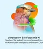 A colorful graphic featuring a bird and abstract shapes, with text overlay. Produktbild-Vorschau