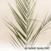 Novart Wandbilder Boho Pampasgras - KOMPLETT AUFHÄNGFERTIG Produktbild-Vorschau 5