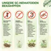 Power SC-Nematoden gegen Maulwurfsgrillen Wiesenschnaken & Produktbild-Vorschau 2