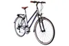 WYNN Trekkingrad 28 Zoll TRK1.0 grau Rahmenhöhe 48 cm Damen Produktbild-Vorschau 9