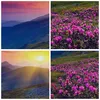 Bild auf Leinwand - Leinwandbild - Wiese Berge Landschaft - Produktbild-Vorschau 8