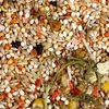 JR Birds Individual Wellensittich 1kg | 1kg Anteprima dell’immagine prodotto 2