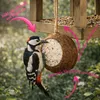 4 Stck Kokosnüsse ganz Vogelfutter Fettfutter Winterfutter Produktbild-Vorschau 4